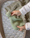 Cuddle Cloth - Frog - Avery Row