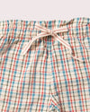 Checked Seersucker By The Sea Shorts - Little Green Radicals