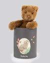 Brown teddy bear peeking out from a gray container with a bear illustration on a light gray background