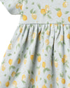 Nova Short Sleeve Jersey Dress - Organic Cotton Baby Dress - Wheat