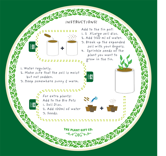Red Hot Chilli Pot - Grow Your Own Plant Kit