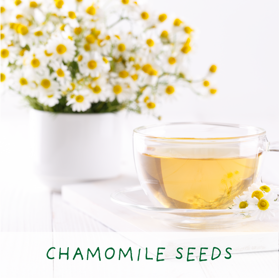 For the Best Mum - Herbal Tea Grow Your Own Kit