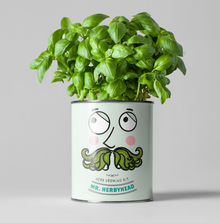  Mr. Herbyhead - Eco Grow Your Own Plant Kit