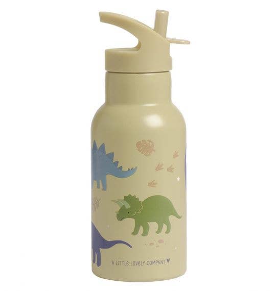 Dinosaur Theme Stainless Steel Water Bottle - A Little Lovely Company