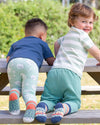 Baa Baa Grippy Socks Sage – Organic Cotton Baby & Toddler Socks 2 Pack - Kite