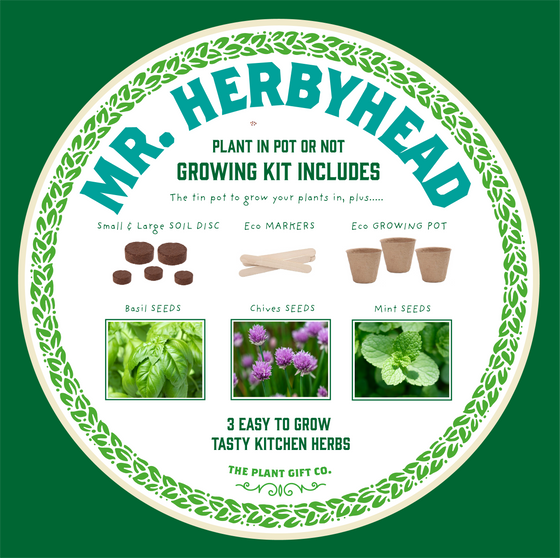 Mr. Herbyhead - Eco Grow Your Own Plant Kit