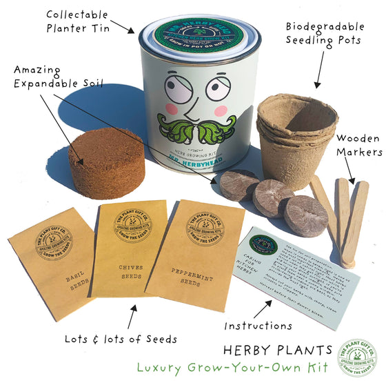 Mr. Herbyhead - Eco Grow Your Own Plant Kit