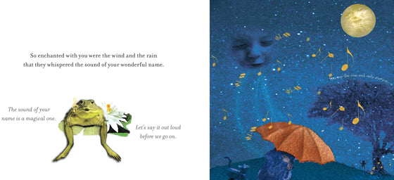 On The Night You Were Born - Board Book