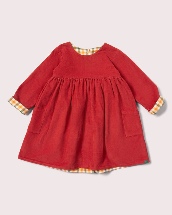 Holly Berry Reversible Corduroy Pocket Dress – Little Green Radicals