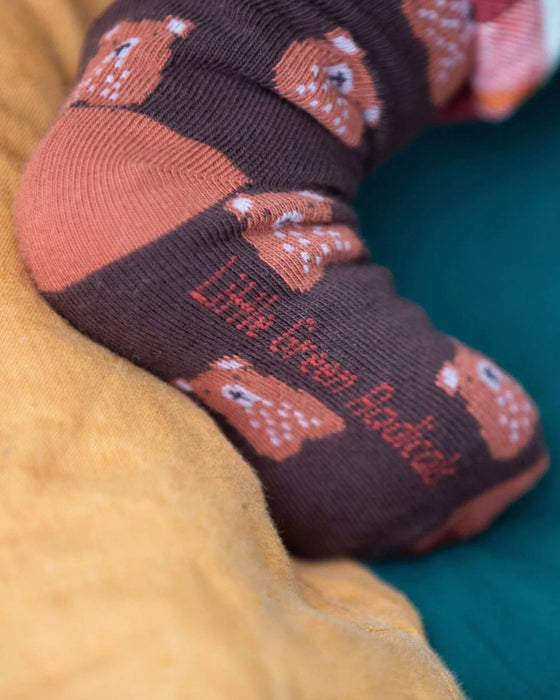Teddy Bear Ankle Socks 3 Pack – Little Green Radicals