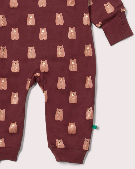 Brown Bears Hooded Snug Suit - Little Green Radicals