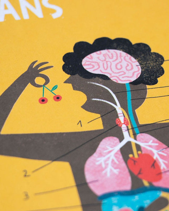 🧠 Inside Me - Educational Human Body Game - Londji