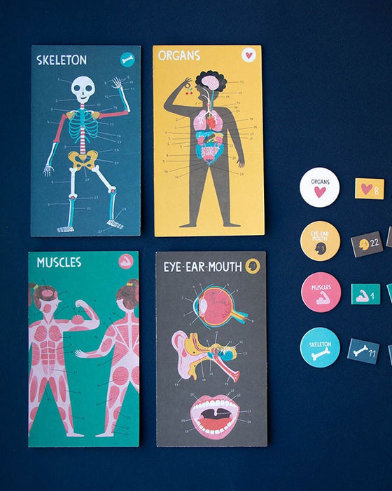 🧠 Inside Me - Educational Human Body Game - Londji