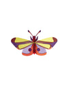 Studio Roof Purple Eyed Butterfly 3D Decoration | Large Recycled Cardboard Insect