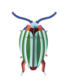  Colorful striped beetle toy on a white background