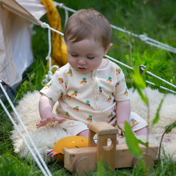 Little Ducks Organic Romper - Little Green Radicals
