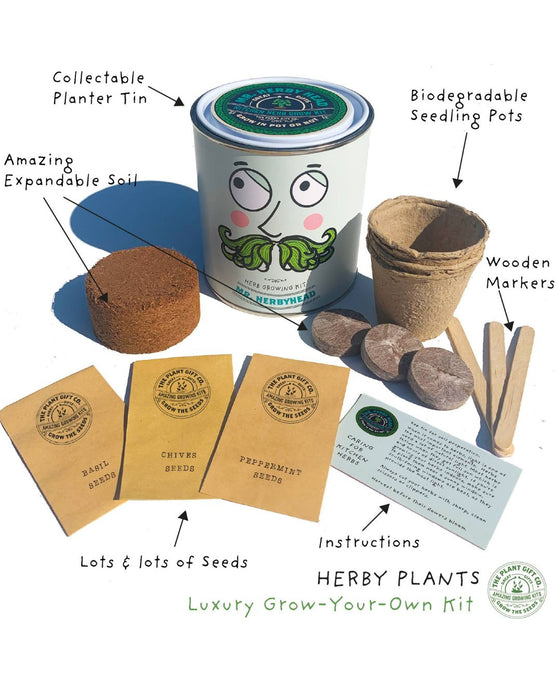 Mr. Herbyhead - Eco Grow Your Own Plant Kit
