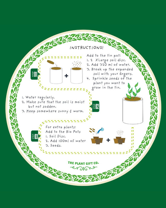Red Hot Chilli Pot - Grow Your Own Plant Kit
