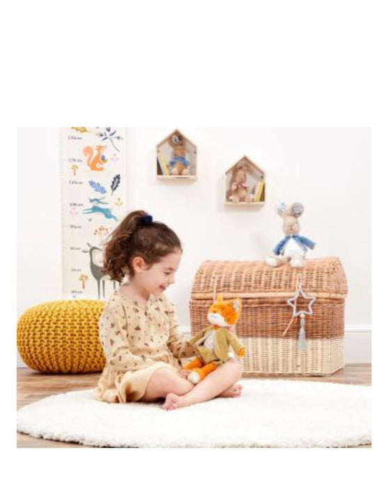 Mr Todd Deluxe Soft Toy - Beatrix Potter