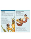 Match the Mermaids: A Memory Game - Folklore Field Guides - Jessica Roux & Emily Hawkins