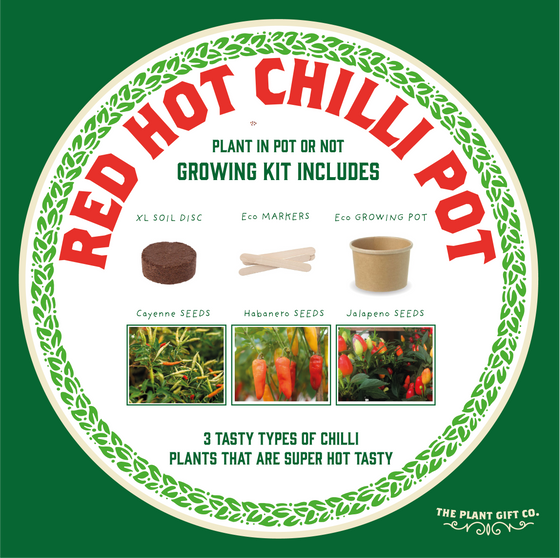 Red Hot Chilli Pot - Grow Your Own Plant Kit