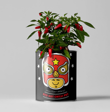  Red Hot Chilli Pot - Grow Your Own Plant Kit