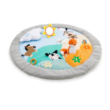  Playmat - Farm - Little Big Friends