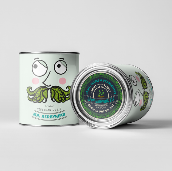Mr. Herbyhead - Eco Grow Your Own Plant Kit
