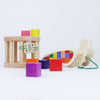 Wooden Snail Sortroller - Shape Sorter & Pull Toy - Bajo