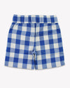 Blue and white checkered shorts on a white background