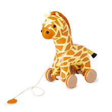  Gina the Pull Along - Giraffe - Little Big Friends