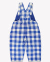 Blue and white checkered overalls on a white background