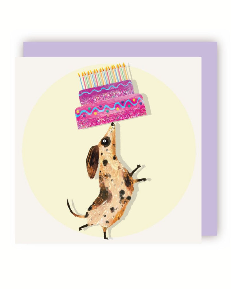 TAH DAH CARD - Charlie Rabbit | The Blue Zebra