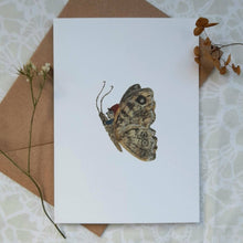  LYDIA MAE DESIGN BUTTERFLY GREETINGS CARD
